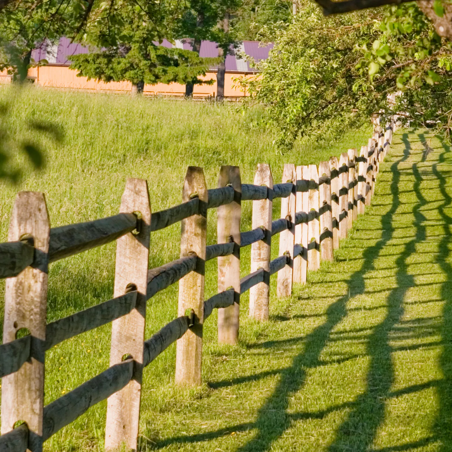 7 ft. Pressure Treated Wood Split Rail 3-Hole Line Post