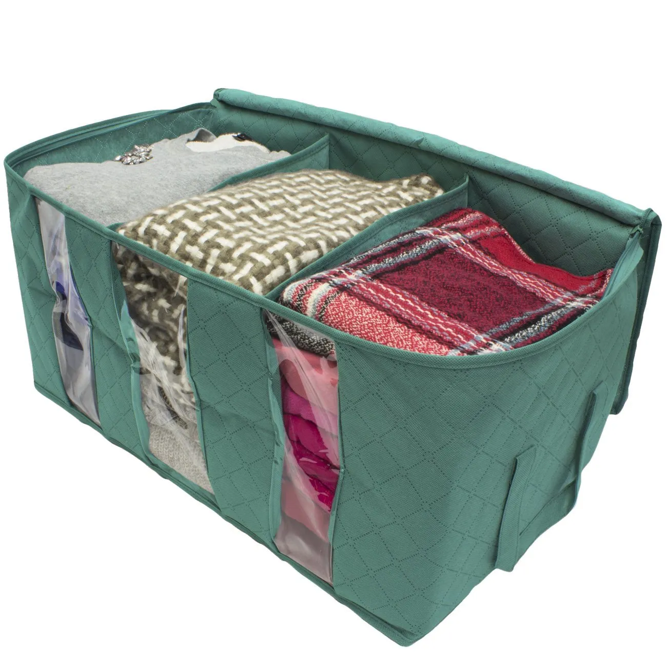 Foldable Storage Bag Organizers (Single)