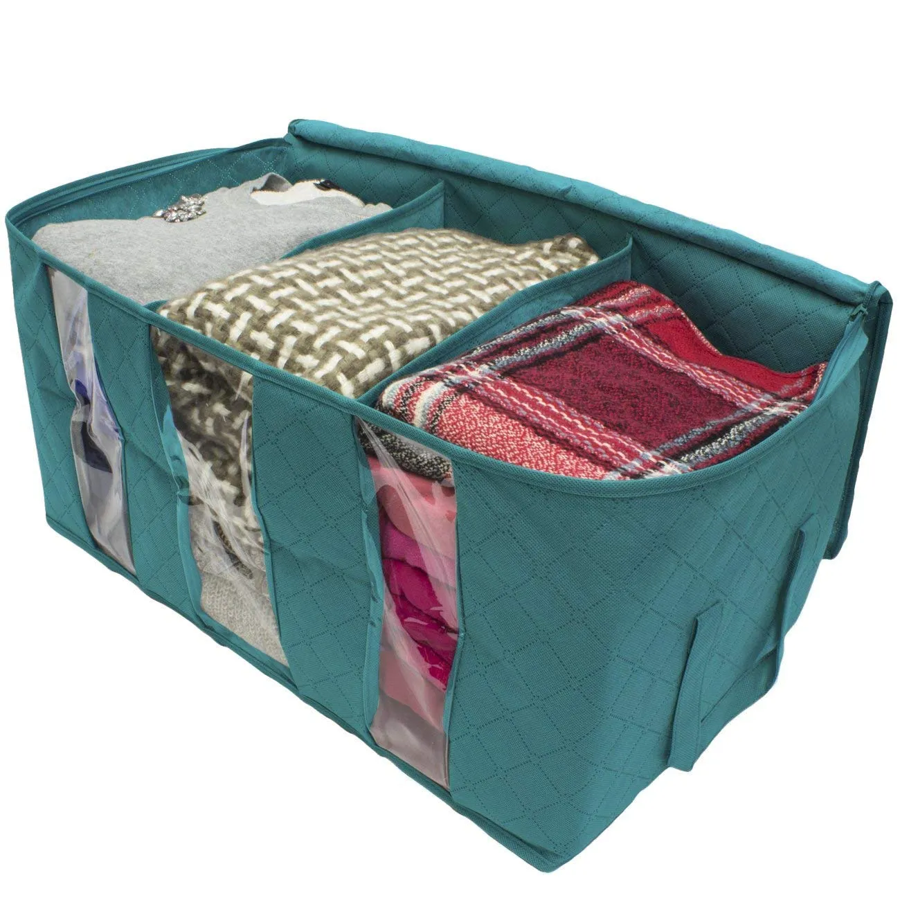 Foldable Storage Bag Organizers (Single)