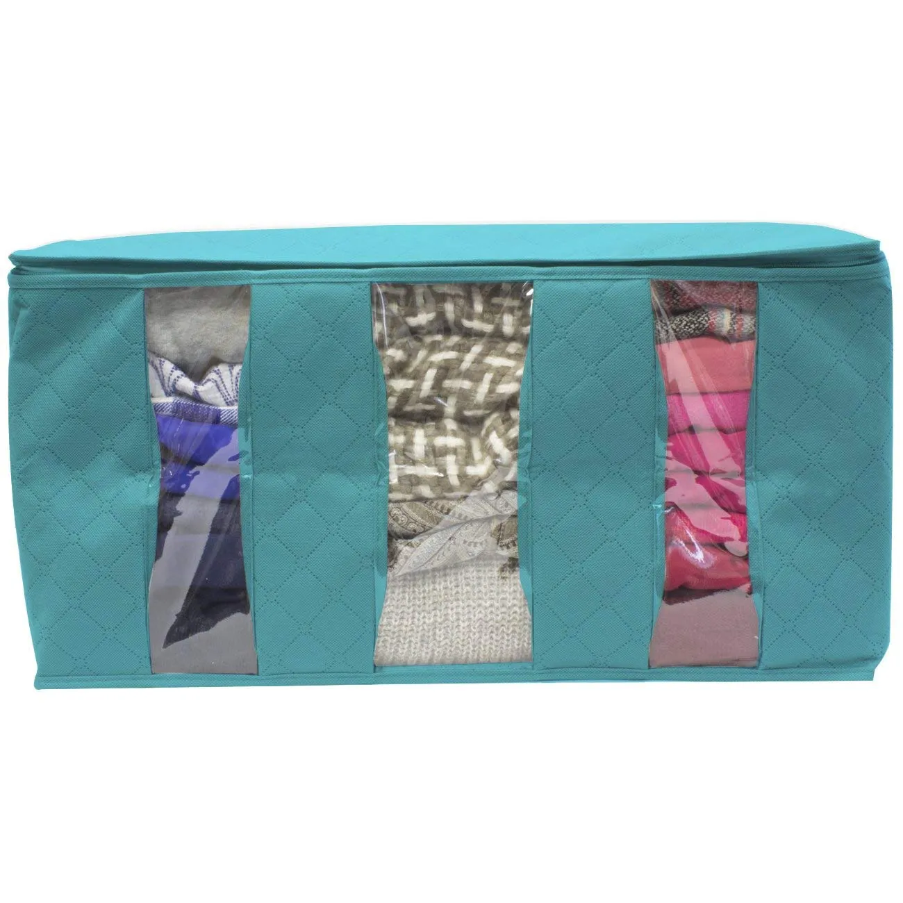 Foldable Storage Bag Organizers (Single)