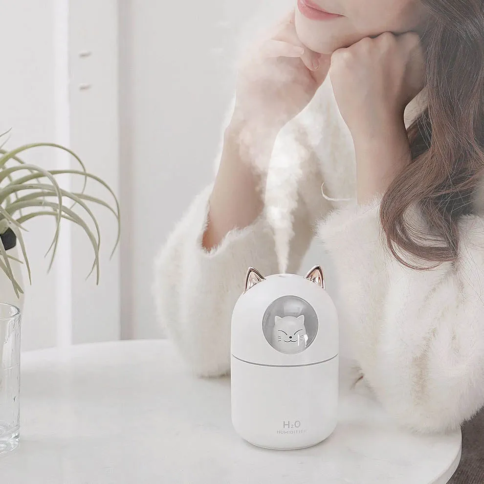 Mini Humidifier