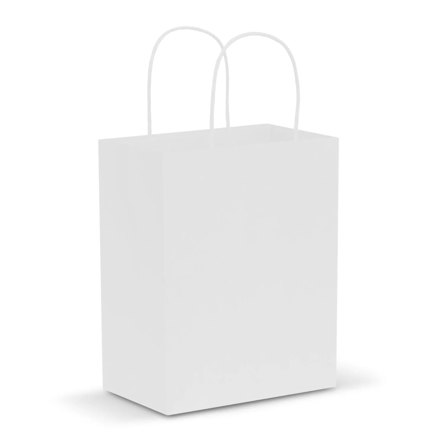 Paper Carry Bag - Medium