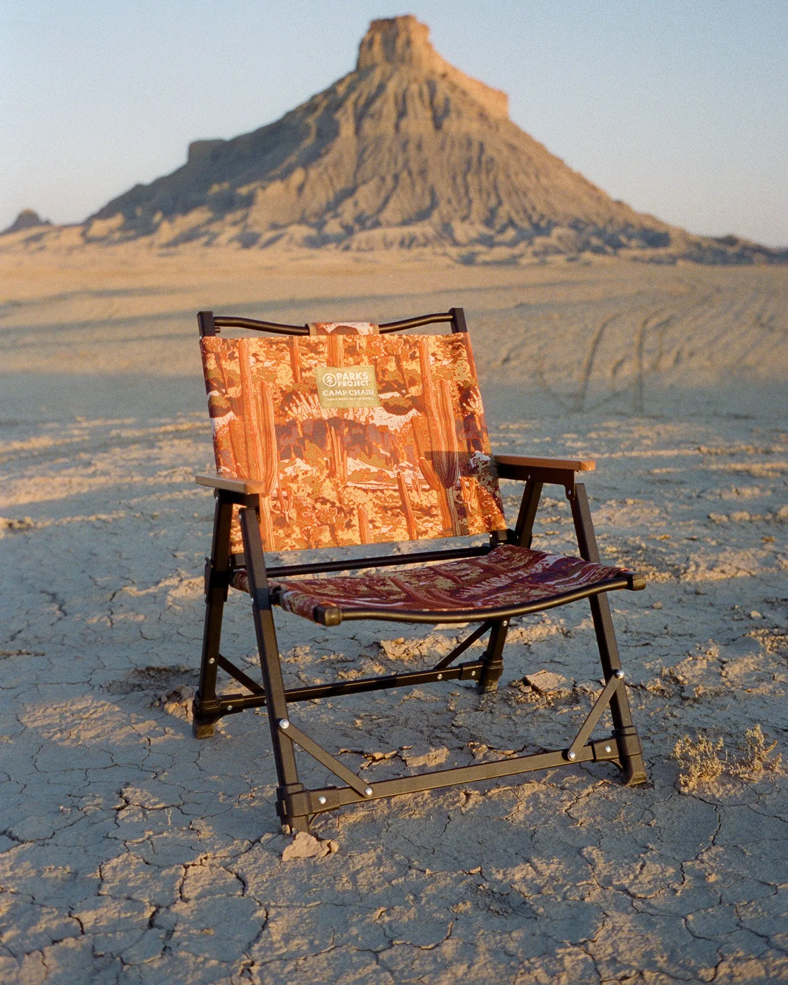 Saguaro Cacti Fold Up Chair