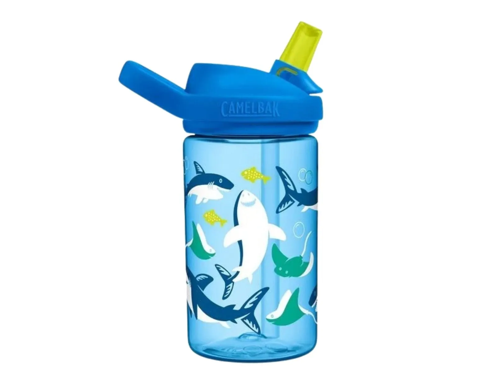 Water Bottle - 14oz